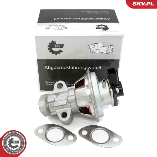 EGR Ventil ESEN SKV 14SKV262