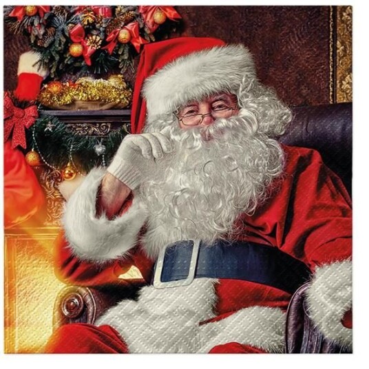 Serviett lunsj 20 stk Santa at home