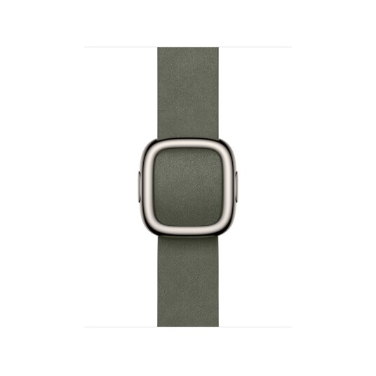 Apple 42/41 mm Sage Grey Modern Buckle   Medium