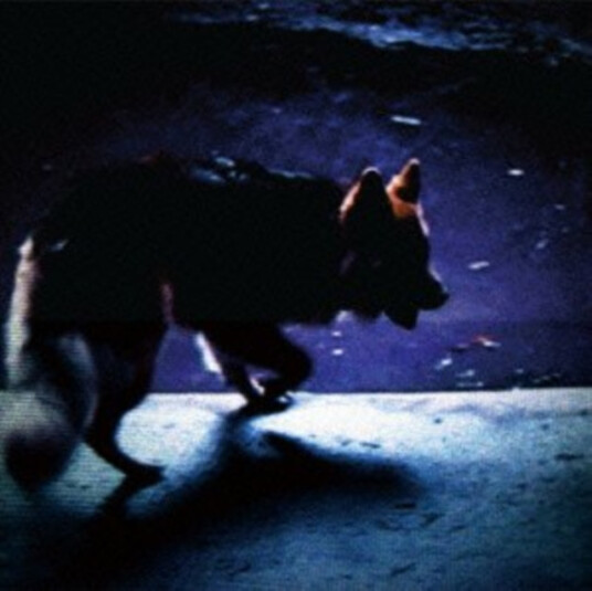 Video Nasties On All Fours CD