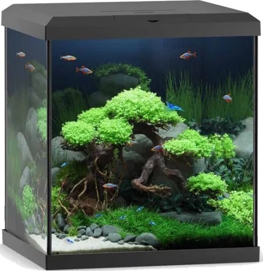 Juwel Vio Cube Akvarium 54L 41X36X47 cm Sort