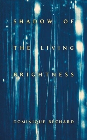Shadow of the Living Brightness Shadow of the Living Brightness