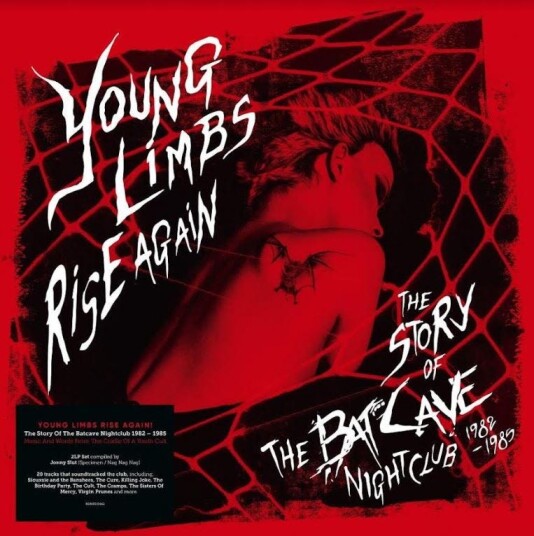 Diverse Rock Young Limbs Rise Again: The Story Of The Batcave Nightclub 1982 – 1985 LP/Vinyl Diverse Rock Young Limbs Rise Again: The Story Of The Batcave Nightclub 1982 – 1985 LP/Vinyl
