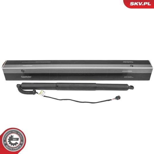 Elektromotor bakluke ESEN SKV 52SKV988