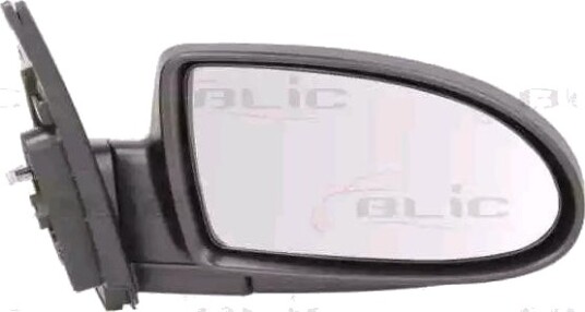 BLIC 5402-20-2001360P Sidespeil