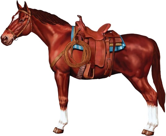 360 Degrees Ltd Pappfigur Hest