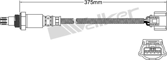 VEGAZ ULS-484 Lambdasonde