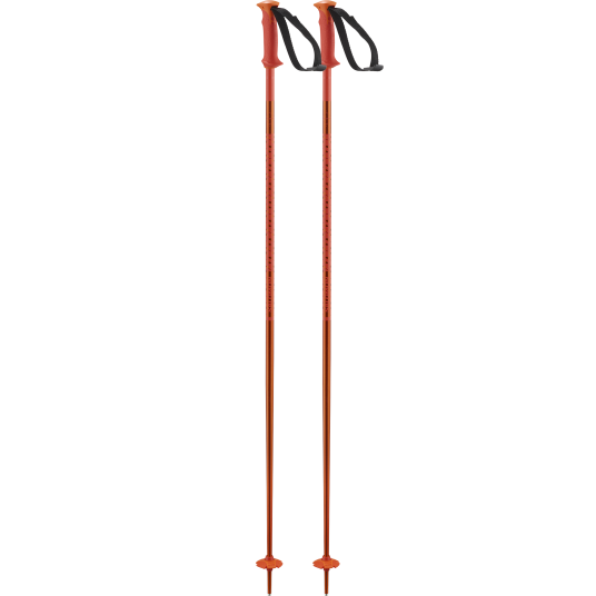 Salomon Polar Cherry Tomato, 120