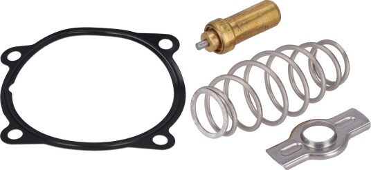 Termostat FEBI BILSTEIN 196062