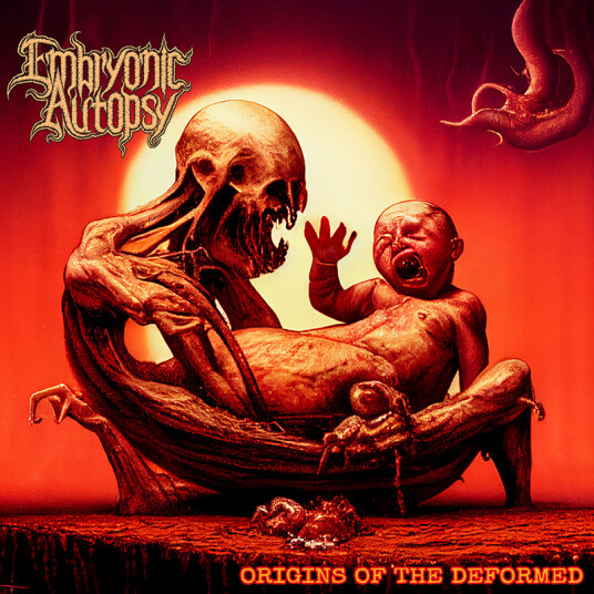 Embryonic Autopsy Origins of the Deformed CD