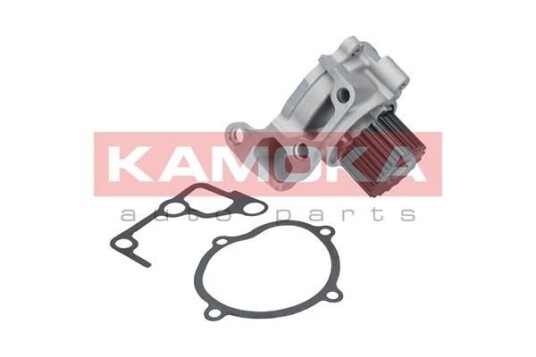 KAMOKA T0179 Vannpumpe