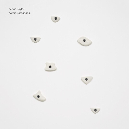 Alexis Taylor Await Barbarians LP/Vinyl