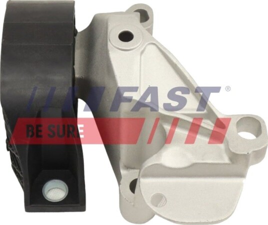 Motorfeste FAST FT10311