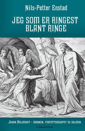 Jeg som er ringest blant ringe Innbundet