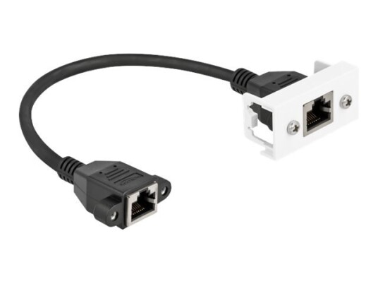 Delock Nettverkskabel Rj-45 Hun Med Muttere For Rj-45 Hun Panelmonterbar 25 Cm S/Ftp Cat 6A Halogenfri Snap-In Svart/Hvitt