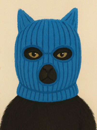 Plakat Blå maskeret katt
