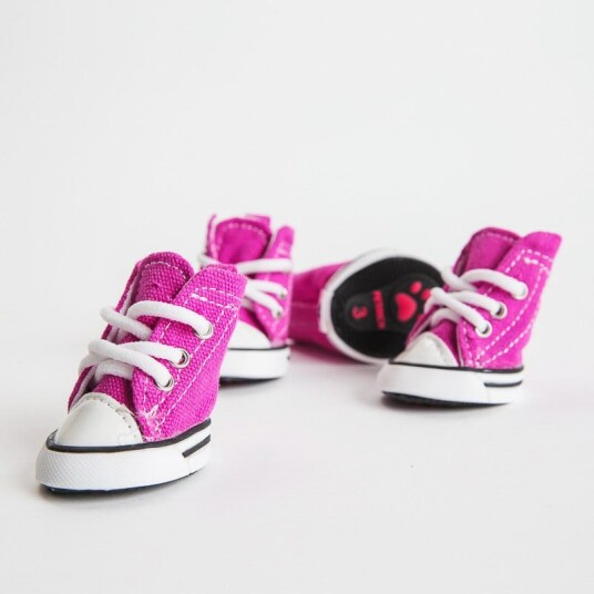 4 Pck "Converse" Hundesko