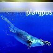 MediaTronixs Gerard Presencer : Platypus CD (2007) Pre-Owned