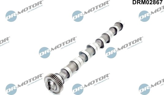 DR.MOTOR AUTOMOTIVE DRM02867 Kamaksel