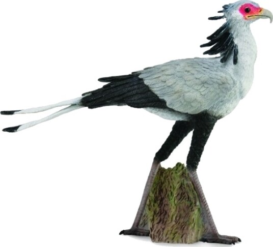 Bird Secretary L 