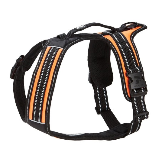 Feel Active Sport Sele Orange (Xl)