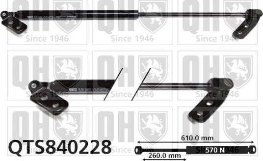 QUINTON HAZELL QTS840228 Baklukedemper