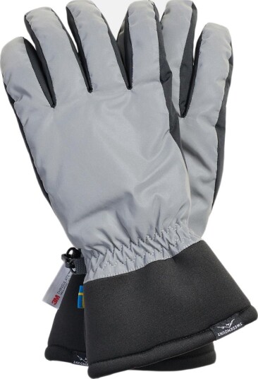 Swedemount Sarek Reflective Glove