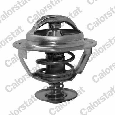 Termostat CALORSTAT by Vernet TH5130.89J