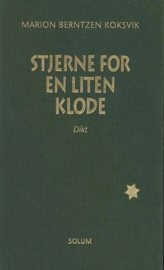 Stjerne For En Liten Klode Av Marion Berntzen Koksvik