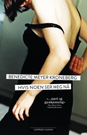 Hvis Noen Ser Meg Nå Av Benedicte Meyer Kroneberg