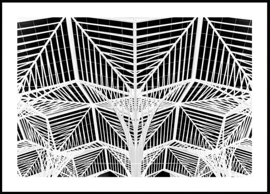 Enter the web Plakat Plakat / 100x150cm