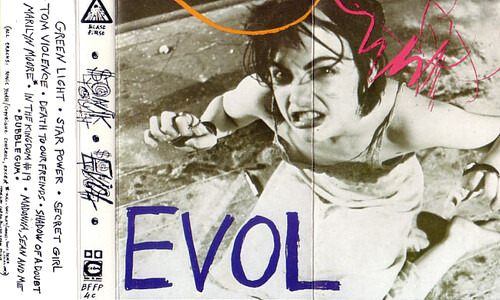 Sonic Youth Evol Kassett