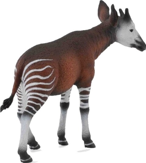 Okapi L