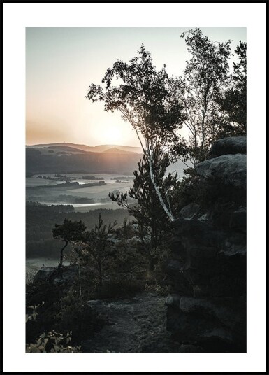 Sunrise In Nationalpark Switzerland Plakat Plakat / 70x100cm Sunrise In Nationalpark Switzerland Plakat Plakat / 70x100cm