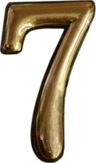 Bosch Door Number Gold 7 Plastm
