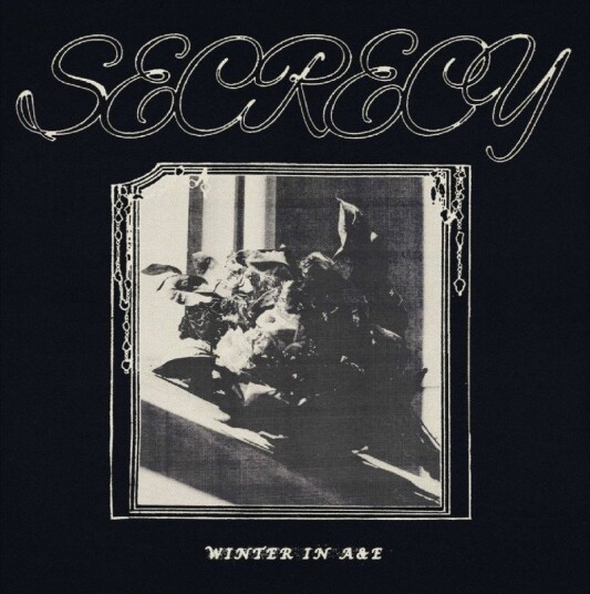 Secrecy Winter In Ae Vinyl