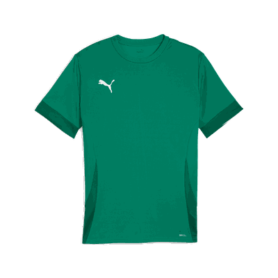 Puma teamGOAL Matchday Jersey, treningstrøye, herre Green XL