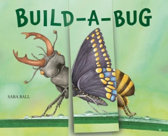 Build-A-Bug Av Sara Ball