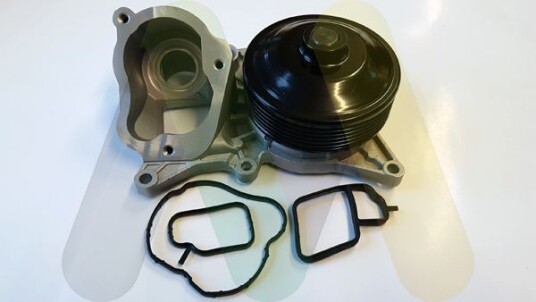 MOTAQUIP LVWP1055 Vannpumpe