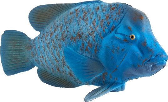 Mojo Fun Blå Groupper Fisk Lekefigur 3+ År