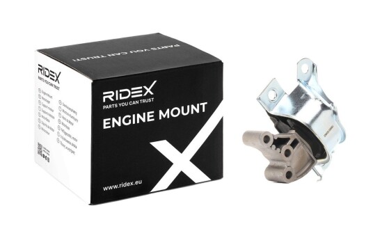 Motorfeste RIDEX 247E0989 Motorfeste RIDEX 247E0989