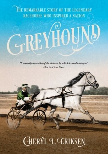 Greyhound Greyhound