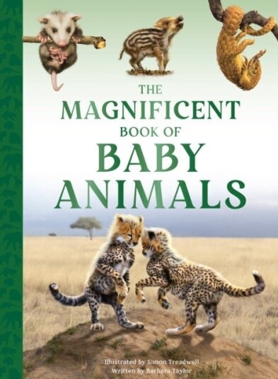 The Magnificent Book of Baby Animals The Magnificent Book of Baby Animals