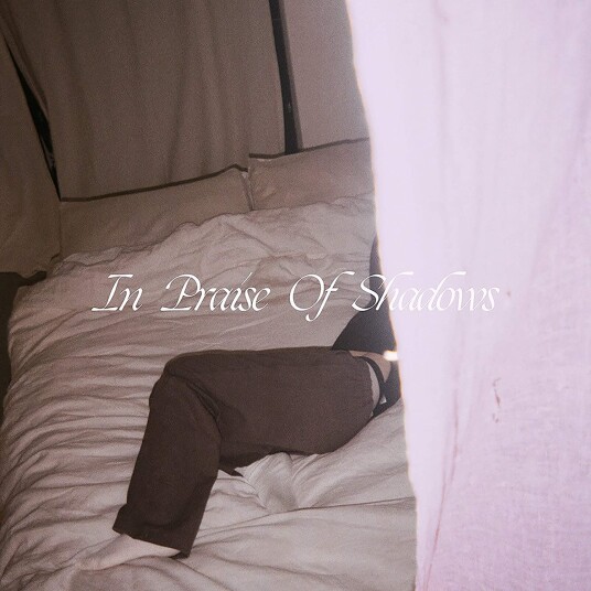 Puma Blue In Praise Of Shadows CD Puma Blue In Praise Of Shadows CD
