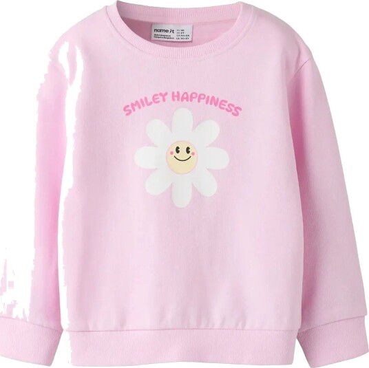 Name It Nmfdiana Ls Nreg Swe Bru Pink 110 Name It Nmfdiana Ls Nreg Swe Bru Pink 110