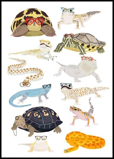 A1 Reptiles In Glasses Plakat / 21x30cm
