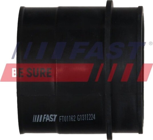 FAST FT01162 Ladeluftslange