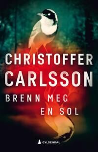Brenn Meg En Sol Av Christoffer Carlsson