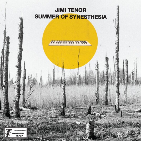 Jimi Tenor Cold Diamond & Mink Summer of Synesthesia LP/Vinyl