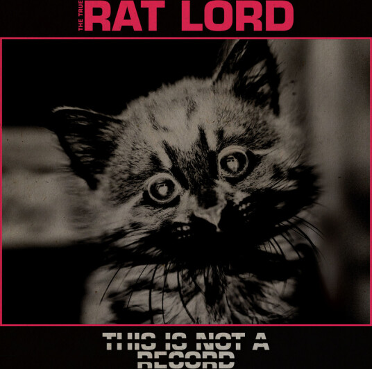 Rat Lord This Is Not A Record Vinyl